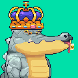 Croc #3196