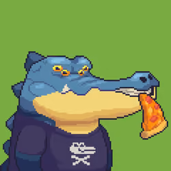 Croc #556