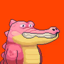 Croc #8263