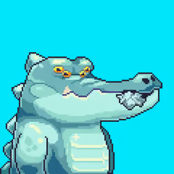 Croc #4847