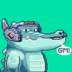 Croc #3510