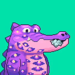 Croc #9053