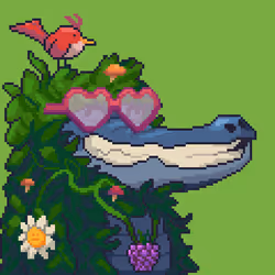 Croc #9755