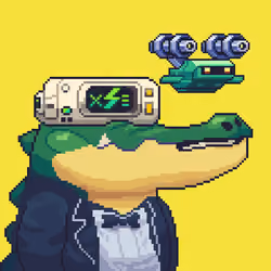 Croc #7884