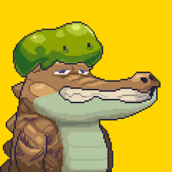 Croc #9969