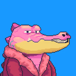 Croc #4297