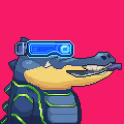 Croc #9914