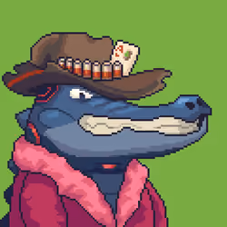 Croc #10233