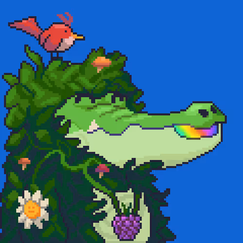 Croc #6698