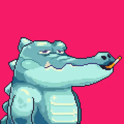 Croc #8916