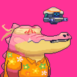 Croc #5762