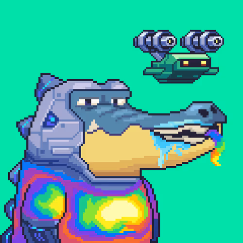 Croc #2064