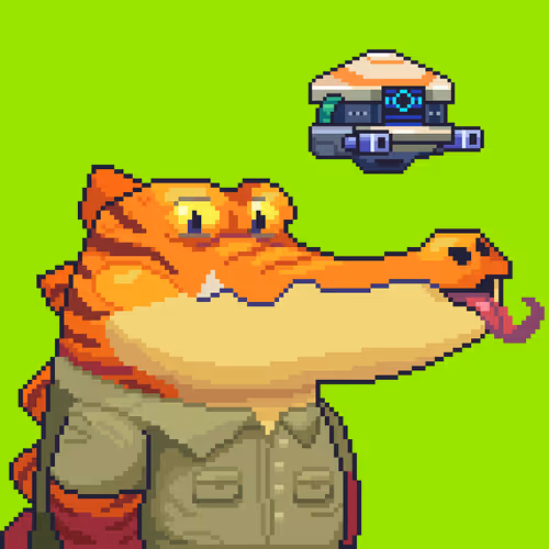 Croc #190