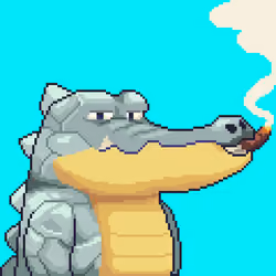 Croc #628