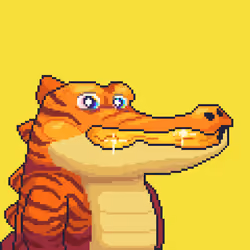 Croc #4248