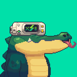 Croc #4441