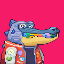 Croc #6572