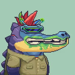 Croc #6521