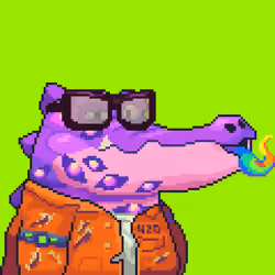 Croc #9721