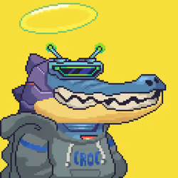 Croc #4527