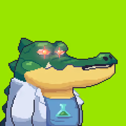 Croc #1558