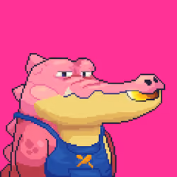 Croc #6573