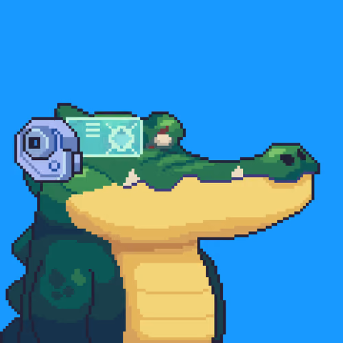 Croc #2529