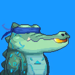 Croc #3003