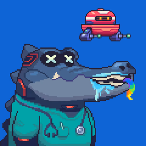 Croc #3553