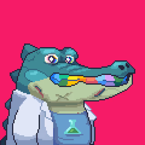 Croc #4211