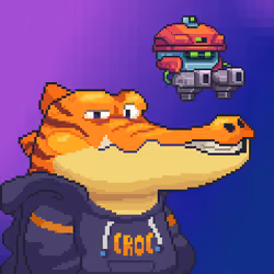 Croc #9646