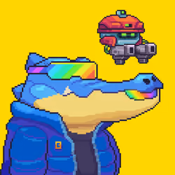 Croc #582