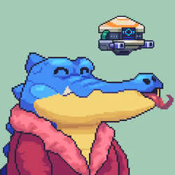 Croc #8376
