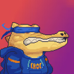 Croc #1049