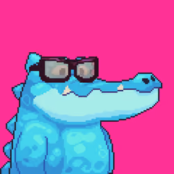 Croc #10145