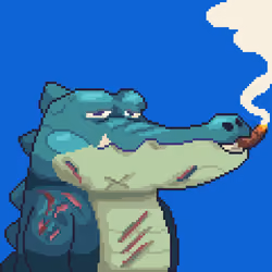 Croc #2681