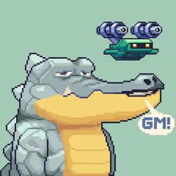 Croc #2169