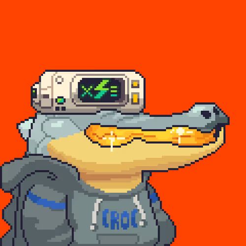 Croc #10018