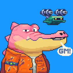 Croc #2371