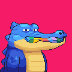 Croc #10307