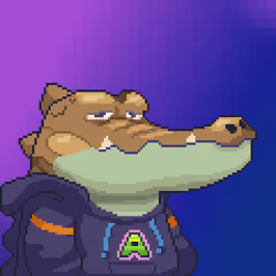 Croc #6522