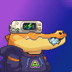 Croc #5403