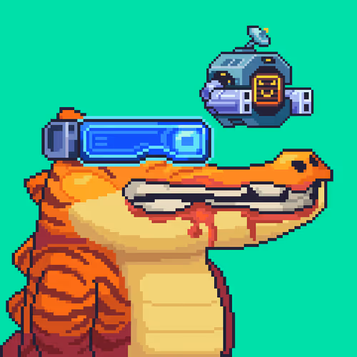 Croc #9305