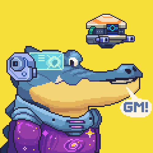 Croc #10381