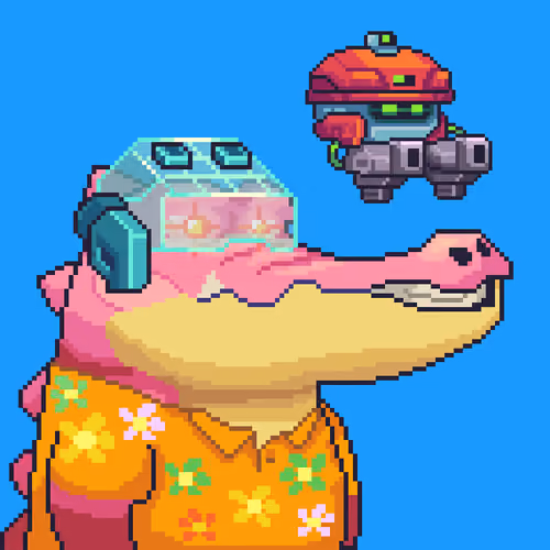 Croc #645