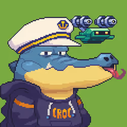 Croc #6334