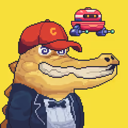 Croc #784