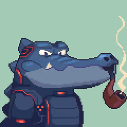 Croc #4027