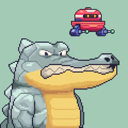 Croc #1042