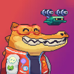 Croc #260